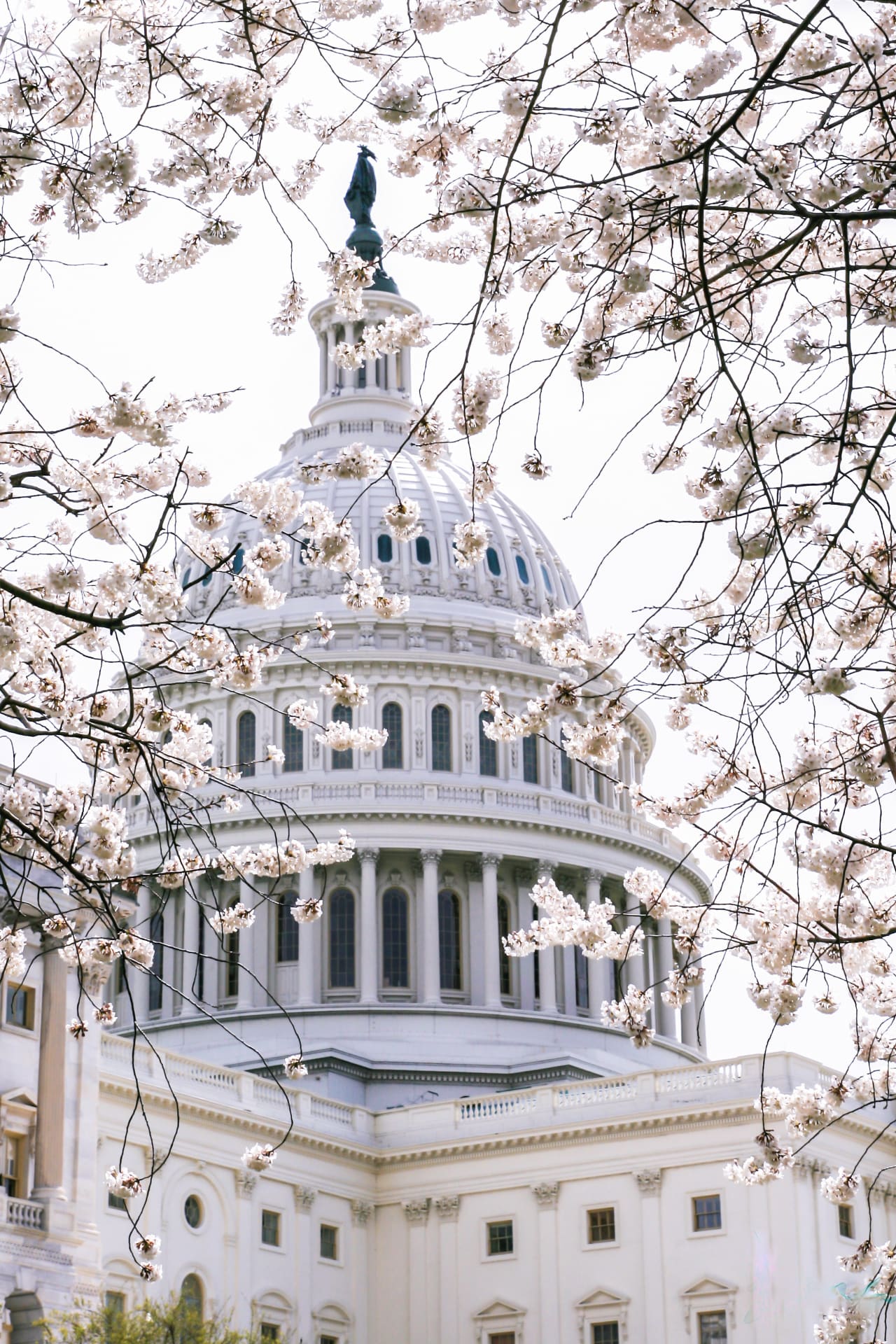 Public Affairs / Government Affairs